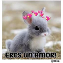 Cariñoso mensajito  ️ 3