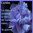 Te quiero, te amo 4 13