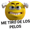 ME TIRO DE LOS
PELOS
