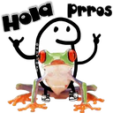 Hold Prres
&
GeysiOy