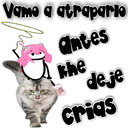 Vame a atraparie
antes
khe
de je
crias
GeysiOy