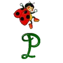 ABC CATARINA 11