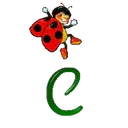 ABC CATARINA 29