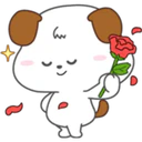 Cocopi Puppy 5
