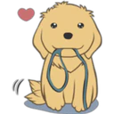 Golden Retriever Puppy 2 10