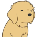 Golden Retriever Puppy 2 29