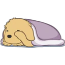 Golden Retriever Puppy 2 19