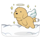 Golden Retriever Puppy 2 23