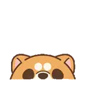 Shiba Dog✇2 Movi 5