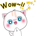 WOW~!!