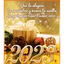 2023 MOV. 17