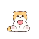 Cat baby lovely?? 23