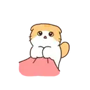Cat baby lovely?? 21