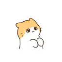 Cat baby lovely?? 8