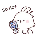 White little bunny 6