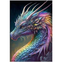Dragons 24