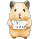 Hamsters Cute 21