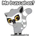 Animals YooHoo🐰🦝🇵🇪 14