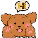 Caniche Dog🐕🇵🇪 12