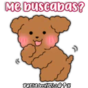 Caniche Dog🐕🇵🇪 15