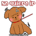 Caniche Dog🐕🇵🇪 17