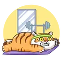 Grumpy🐯Tygger 20