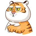 Grumpy🐯Tygger 11