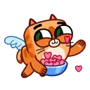 Kitty🐱cupido 5