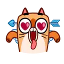 Kitty🐱cupido 4