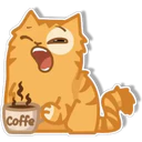 Orange Cat 🐱 2 22