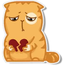 Orange Cat 🐱 2 6