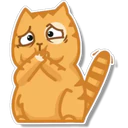 Orange Cat 🐱 2 29