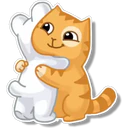 Orange Cat 🐱 3 4