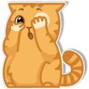 Orange Cat 🐱 3 13