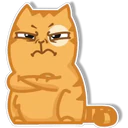 Orange Cat 🐱 3 2