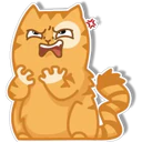Orange Cat 🐱 3 28