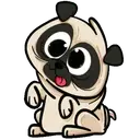 Pug🐶🌼.MOV 1