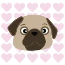 Pug🐶🌼.MOV 27