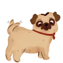 Pug🐶🌼.MOV 23