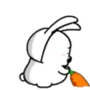 TIERNO POLAR 3 24
