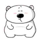 TIERNO POLAR 3 13