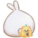 Rabbit pupi 15