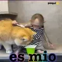 Monitos     MOVIL. 10