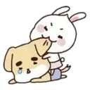 Rabbit   and 14