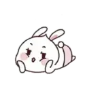 Rabbit   and 26