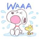 WAAA