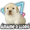 THE
ÁMAME O LLORÓ