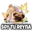 SOY TU REYNA