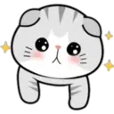 ❁Mix de gatitos 22