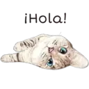 ¡Hola!